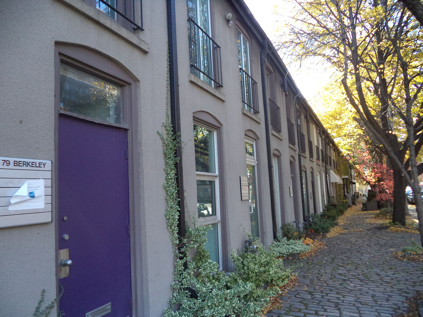 Youth MediSpa (79 Berkeley)